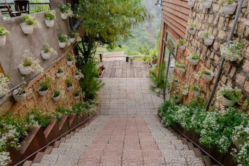 Michelia Valley Hotel - 정원