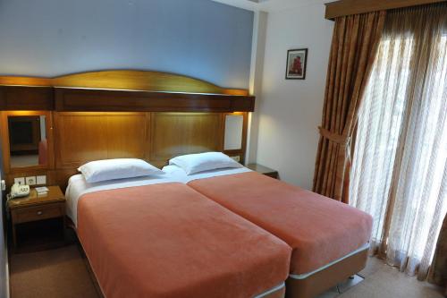 Double or Twin Room image 5