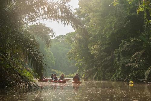 Hotel El Icaco Tortuguero