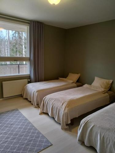 Active teerenpeli in Korsholm