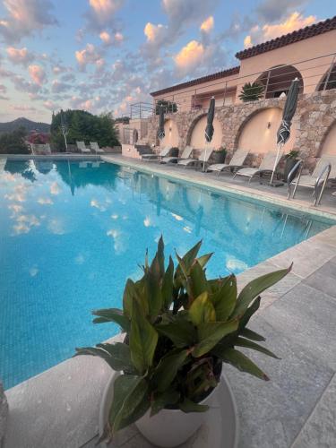 Villa la Vista - image 9