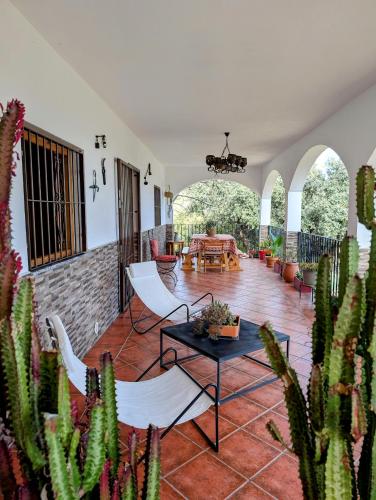 Iekārtas, Casa rural para 4 personas, 2 dormitorios y terraza sombreada - El Cortijo Escondido Adults Only , L in Canjayar