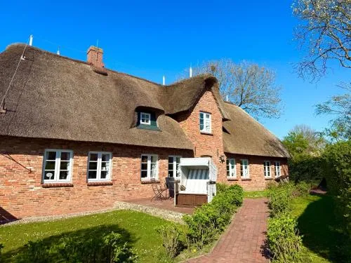 Reetkehlchen in Alkersum, Deutschland