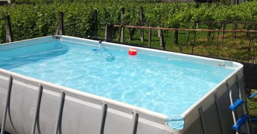 Úszómedence, Casa Home-Art in Biasca