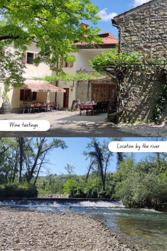 Bordon wines, estate with accommodation