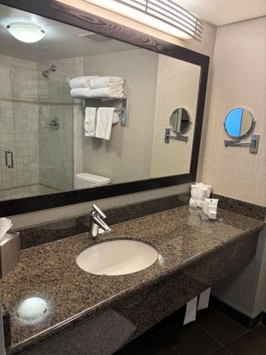 Radisson Hotel Winnipeg Downtown Room Type - Superior Double Room Non-Smoking