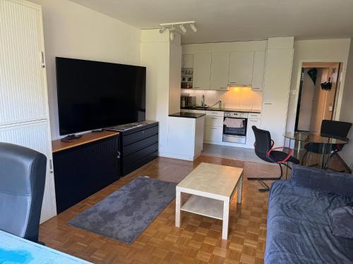 Ruhiges Wohnen im Stadtzentrum von Basel, Basel (Foto 3)