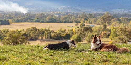 Drom Aluinn B & B in Acheron