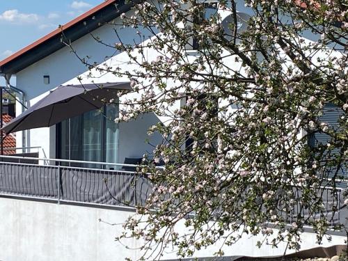 Altan/terrasse, FeWo Günztalblick - Ruhige Lage -125 qm - neu und komfortabel - große Terrasse (FeWo Gunztalblick - Ruhige Lage -125 qm - neu und komfortabel - große Terrasse) in Oberschönegg