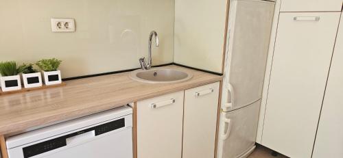 Apartment with Balcony image 6