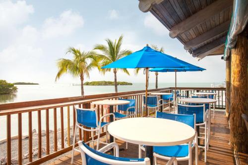 The Hammocks at Marathon