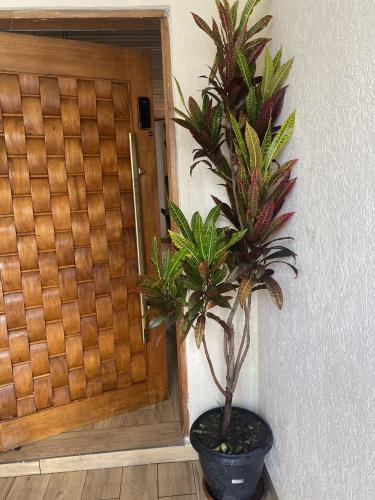 Hostel Amor por SP - BRAS in Pari