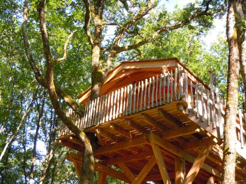 Cabane Perchée Spa Dordogne La Ferme de Sirguet