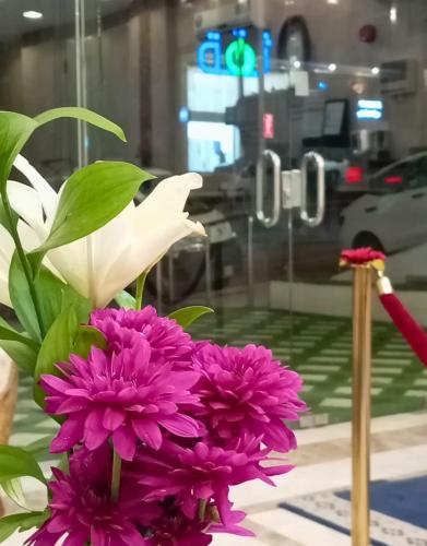 همسات الضيافة للشقق المخدومة - Hamsat Aldyafa Serviced Apartments, Khamis Mushayt (fotografie 7)