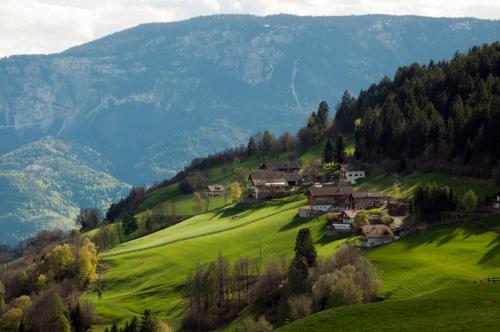 Pension Schlaneiderhof