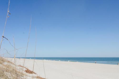 Janssen by Bryant Real Estate - image 3