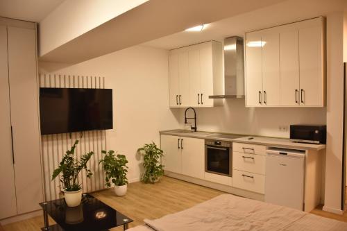 City Apartment Dresden 4, Drážďany (fotografie 4)