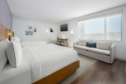 2 king beds, 1 sofa bed