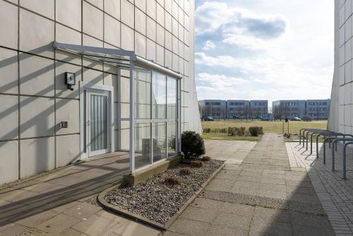 Koralle in Sudstrandpromenade