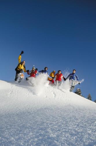 Alpenherz Hotel Garni - image 14
