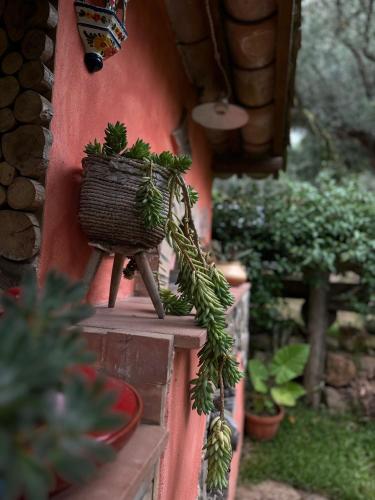  The Treehouse - Casa sull´albero al Golden Camp in Falerna