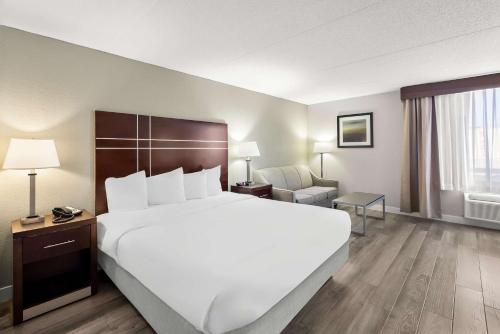 King Room with Sofa Bed - Pet Friendly/First FLoor