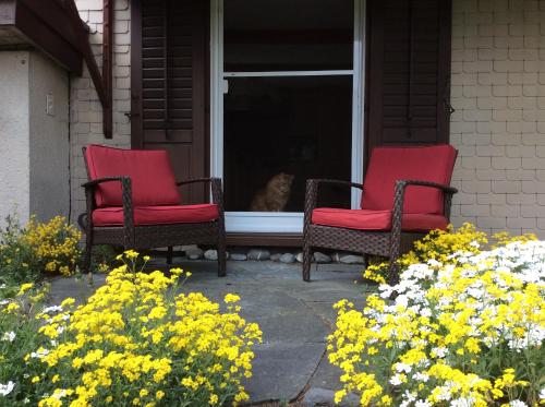 Bed and Breakfast Haag - main image
