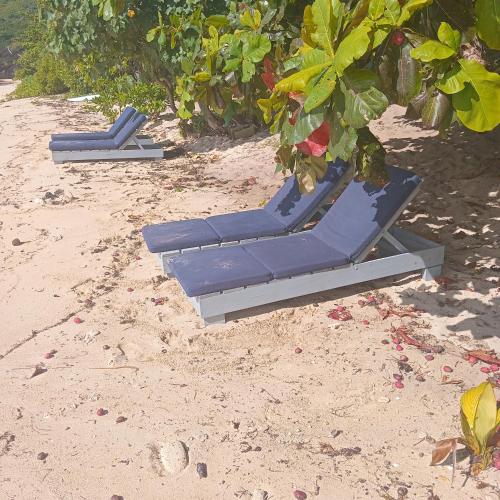 Maika beachside homestay in เกาะวายา