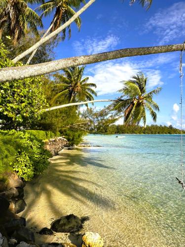 MOOREA - Sundara Soul Villa, Hauru (foto 3)
