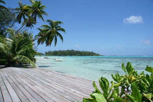 MOOREA - Sundara Soul Villa, Hauru (foto 6)