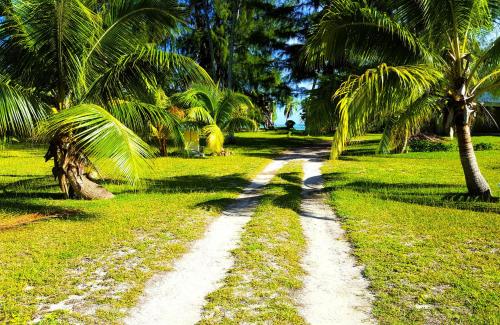 MOOREA - Sundara Soul Villa, Hauru (foto 9)