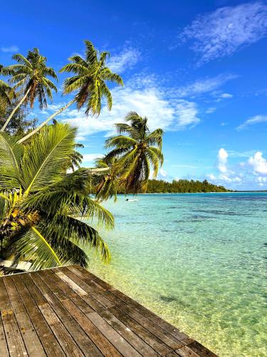 MOOREA - Sundara Soul Villa, Hauru (foto 8)