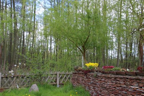 Pension & Biergarten Spreewaldhof Leipe - image 10