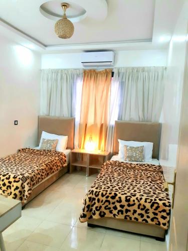 COZY Appartement