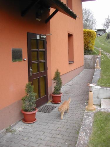 ทางเข้า, Penzion U Slunce in ยาโรเมอร์