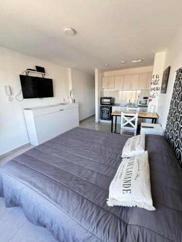 Apartament Mono Centro P6