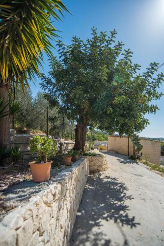 Bed & breakfast Giulio, Noto (photo 7)