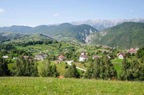 Samedru - image 14