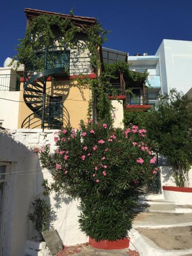Entrance, Melissa Apartments in Anogeia