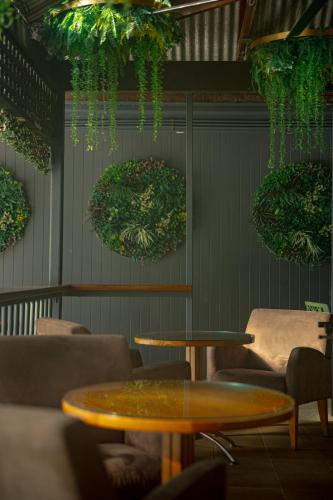 Patogumai, Coral Beach Lodge in Port Duglasas