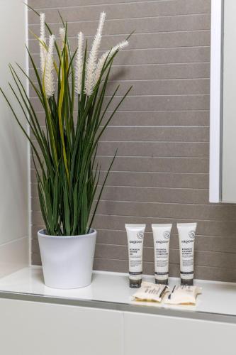 Stylish Stay Near Lake Tuggeranong - image 3