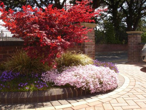 Pineview Guesthouse chambre d'hôte Broadstone