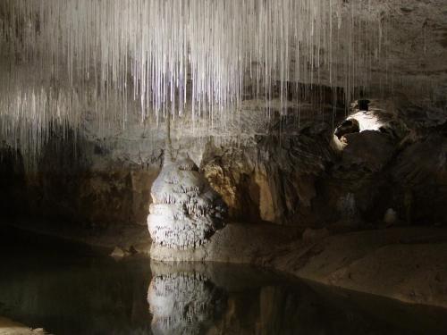 La Roseraie - image 10