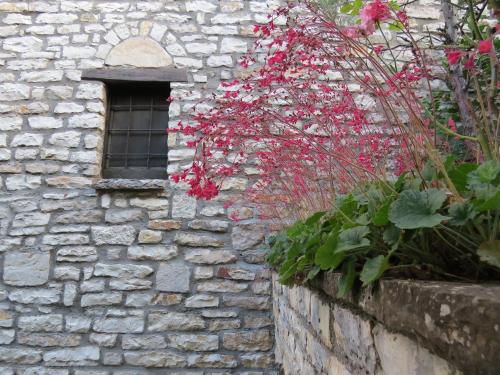 Arhontiko Aristis - image 11