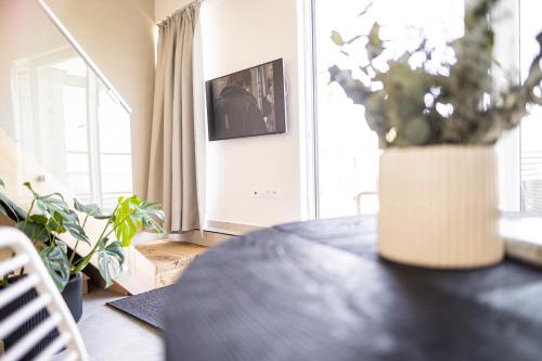 Pálavské Apartmány - main image