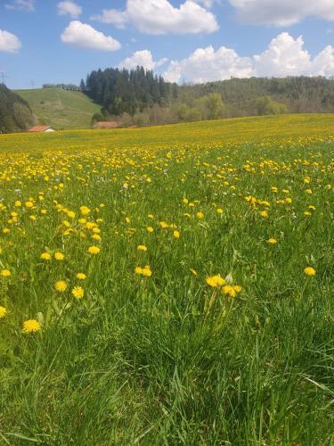 HOTEL WALDHORN in Jungholz
