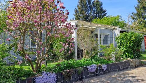 Ferienhaus Sommer in Rovershagen