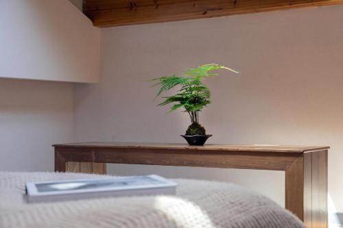 Budget Double Room image 7