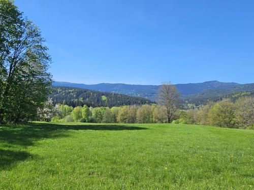 Lesní apartmán Hamry (Lesni apartman Hamry) in Hojsova Straza