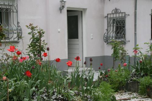 Appartent im Garten, Worms (fotografie 3)